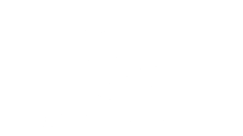 RevivaSpace